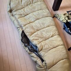 ＴＡＲＡＳＢＯＵＬＢＡマミーシェルフ－１７度　「美品中古品」の画像