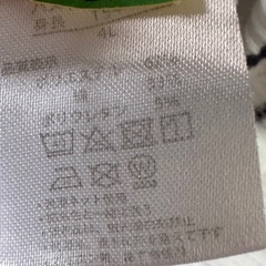 レディースTシャツの画像