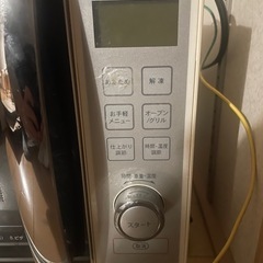 電子レンジの画像