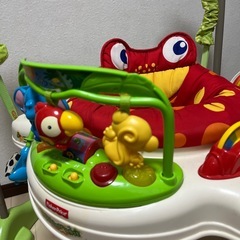 レインフォレスト・ジャンパルーの画像