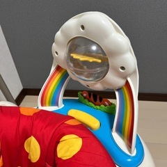 レインフォレスト・ジャンパルーの画像