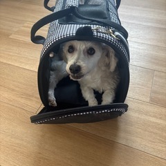 中古　ケージの画像