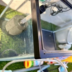 GEX60cm水槽セットの画像