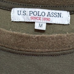 ポロ Tシャツの画像