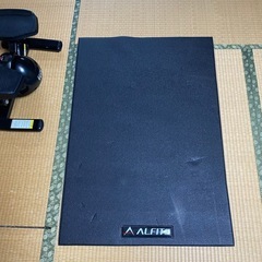 【マット付き】東急スポーツオアシス ツイスト ステッパー Premium 連続使用 約60分 静音 SP-400 ブラックの画像