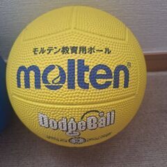 ドッジボール　2個　ボールネット付の画像