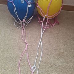 ドッジボール　2個　ボールネット付の画像