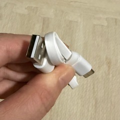 【未使用】USB TYPE-C 短いケーブル ホワイトの画像