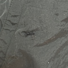 バートルの画像