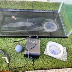 GEX60cm低サイズ水槽の画像