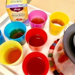 1/13・1/20 常総ヨガ&マインドフルネス2026の画像