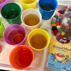 1/11 台東区 忠綱寺 ヨガ&マインドフルネス2026の画像