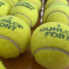 FORT他　中古テニスボール15個の画像