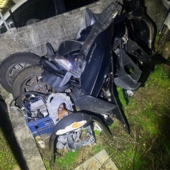 スカブ、フォルツァの画像