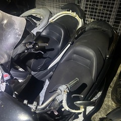 スカブ、フォルツァの画像