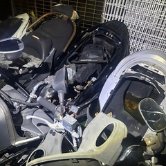 スカブ、フォルツァの画像