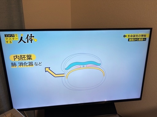【美品】パナソニック 43型テレビ