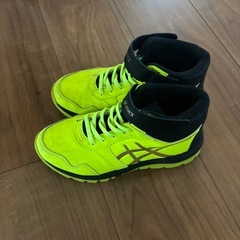 スノトレ    21cmです。の画像