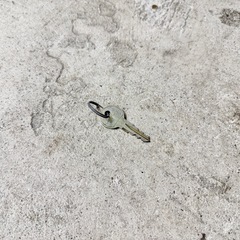 THULE スーリー ルーフボックス alpina アルピナ 鍵ありの画像