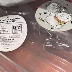 ぬいぐるみ 野良猫 Before and Afterの画像