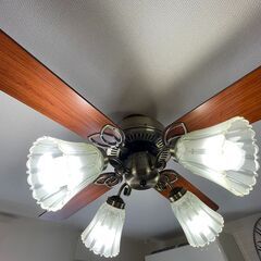 シーリングファンライト【引取２月２日限定】の画像