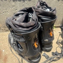 ファンスキー
の画像