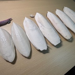 【1/3までお値引き中】カトルボーンの画像