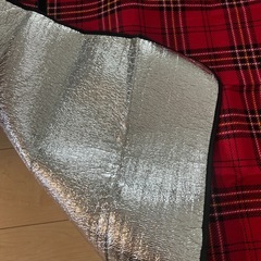 レジャシートの画像