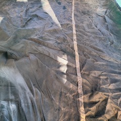 コールマン:ワンタッチピクニックシェードの画像