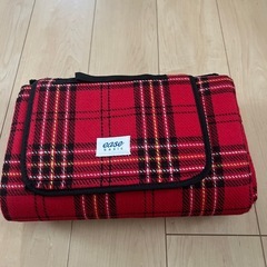 レジャシートの画像