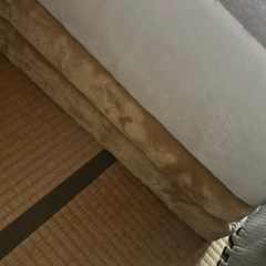 食パンソファーベットの画像