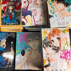 少女漫画など50冊以上の画像
