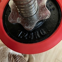 ダンベルセット（金属シャフト2本＋ラバープレート）引き取り限定の画像