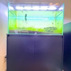 
【90cm水槽一式｜魚付き可】水草育成向けフルセットの画像