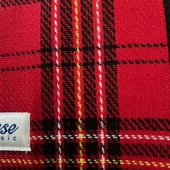 レジャシートの画像