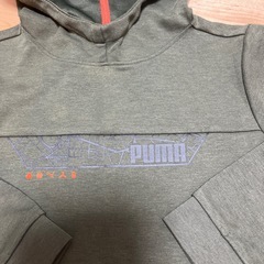 PUMA 緑の画像