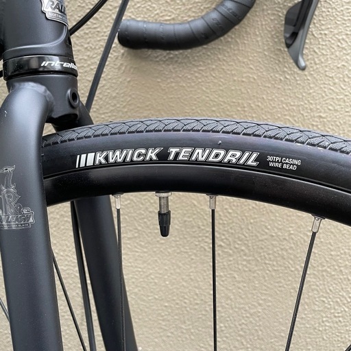 Raleigh（ラレー） CARLTON-B アイアンブラック 50 CRB ロードバイク