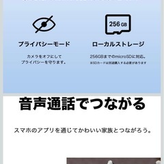 ネットワークカメラ　　パンチルド可能！の画像