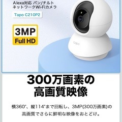 ネットワークカメラ　　パンチルド可能！の画像