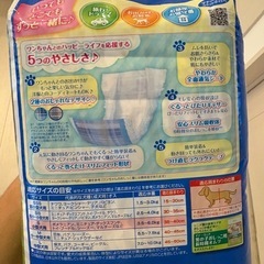 【未開封】マナーウェア　Sサイズの画像