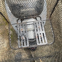 原付購入者は半額！ホンダ純正 原付用カゴ リアの画像