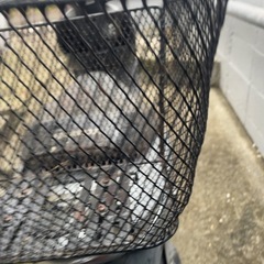 原付購入者は半額！ホンダ純正 原付用カゴ リアの画像