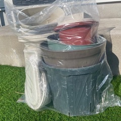 植木鉢 ポット鉢植え まとめて 大中小  の画像