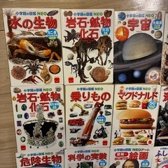本　ミニ図鑑　15冊セット　知育　小学生の画像