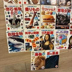 本　ミニ図鑑　15冊セット　知育　小学生の画像