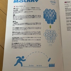 モルック　トーナメントモデルの画像