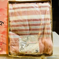  未使用 TEKNOS　電気敷き毛布 シングルサイズの画像