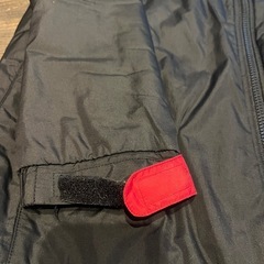 ペネトラールの画像