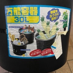 万能容器　30L 2つセットの画像