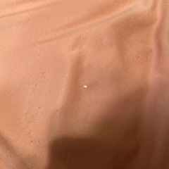 無印良品　ビーズクッション（大）の画像